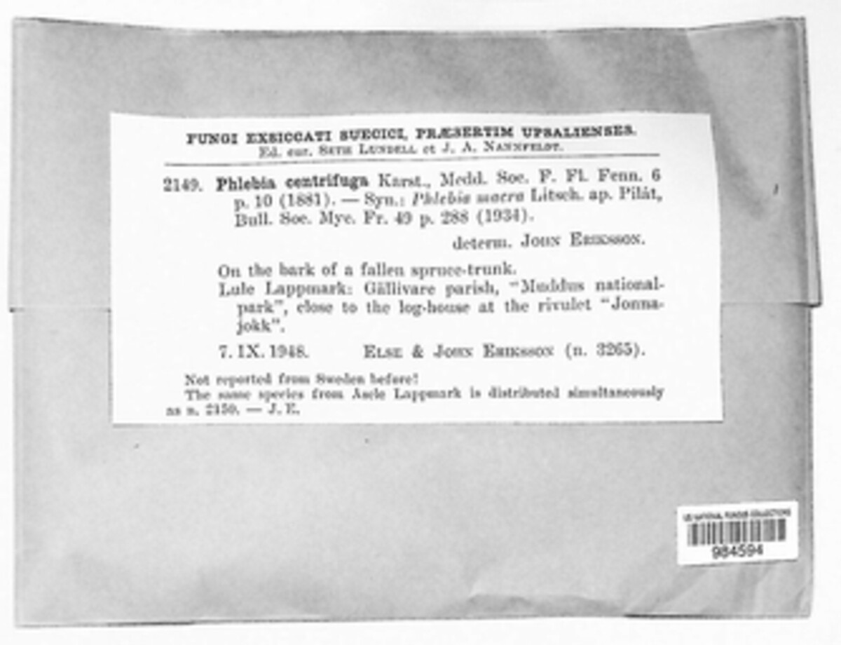 Hermanssonia centrifuga image